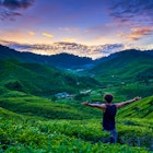 The beauty of Cameron Highlands Tea Plantation In Malaysia             ; Shutterstock ID 1115992007; your: Claire Naylor; gl: 65050; netsuite: Online editorial; full: Best things to do in Malaysia